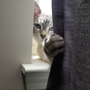 Meet your Posher, Lesley